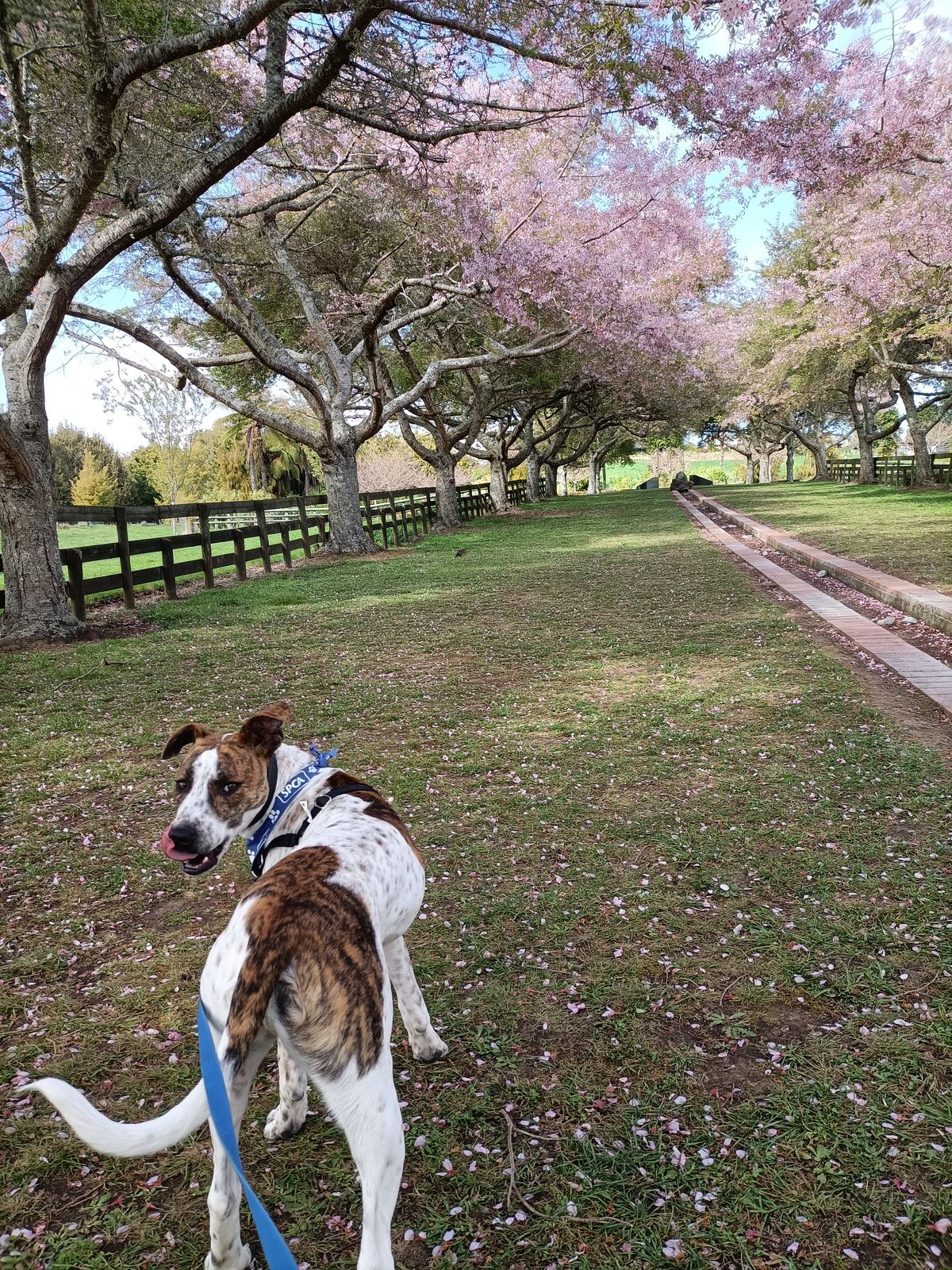 Gallery image: Skeeter