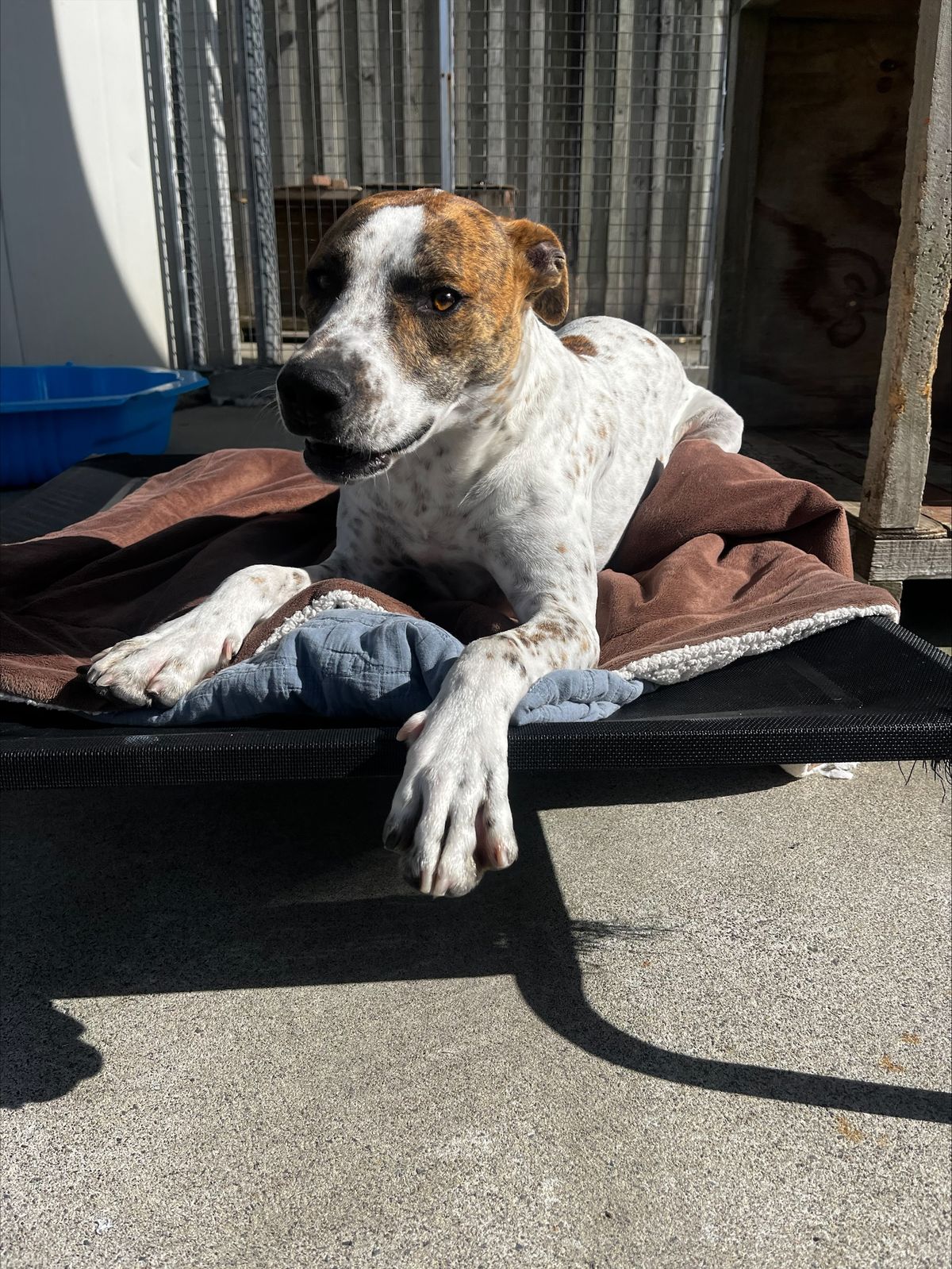 Gallery image: Skeeter