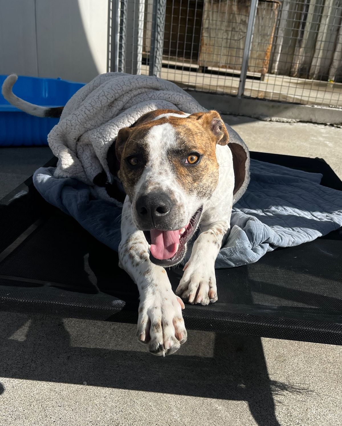 Gallery image: Skeeter