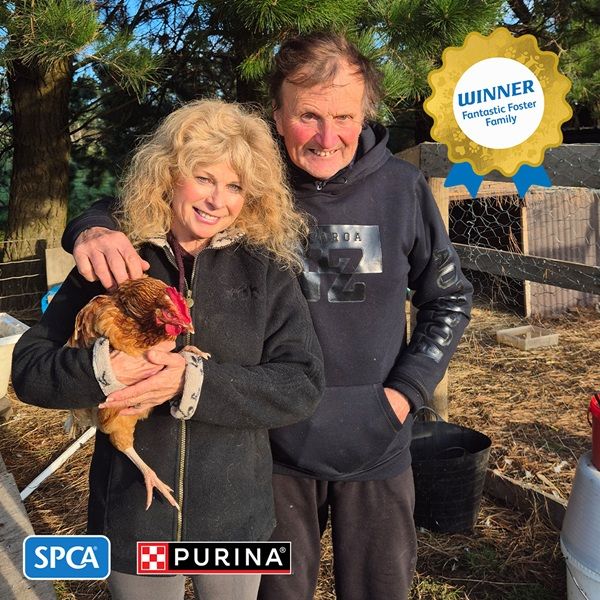 Fantastic Foster Family - John and Donna Stephenson