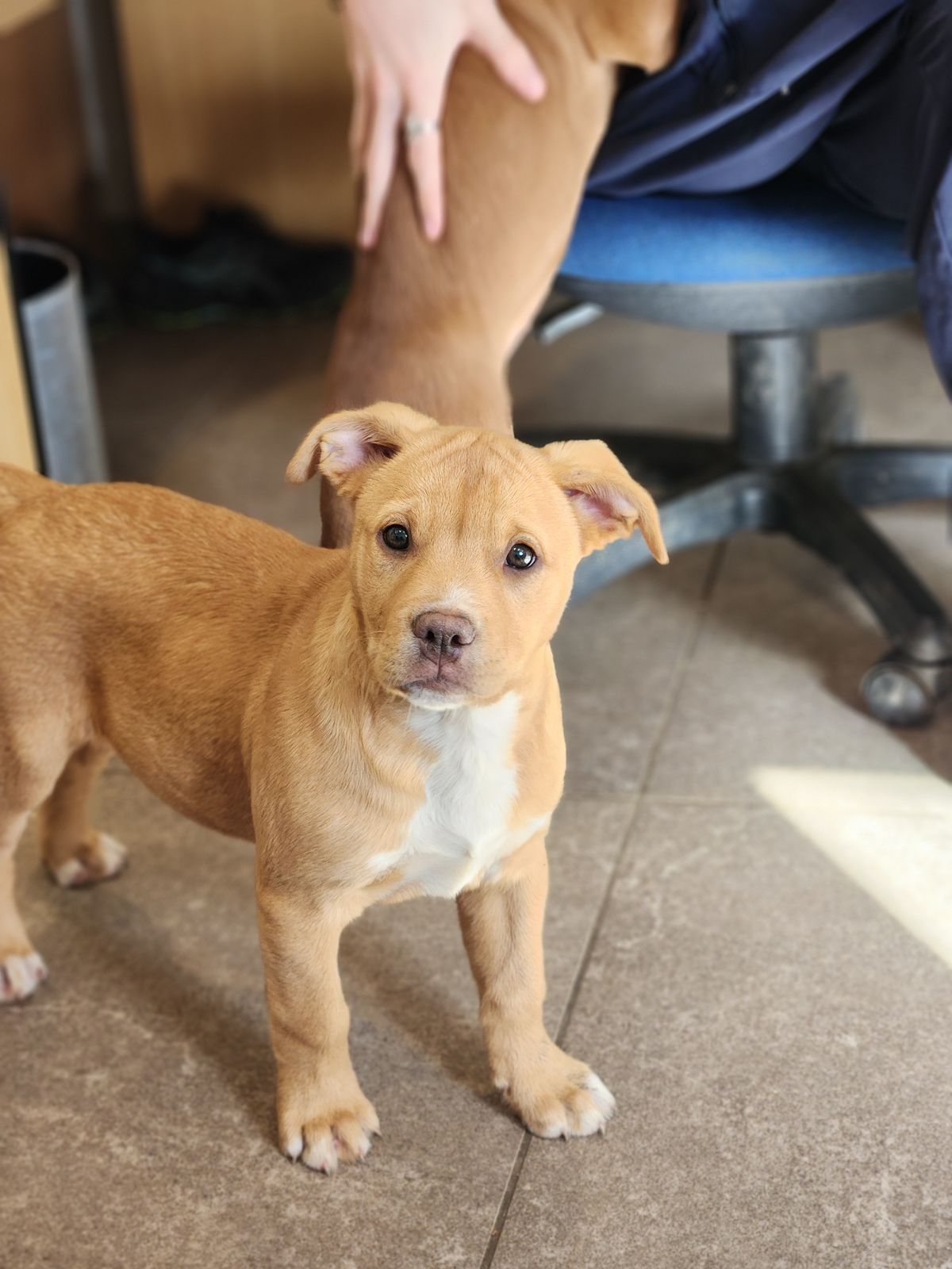 Gallery image: Jaycee