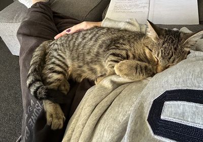 Happy adoption story: Chuck