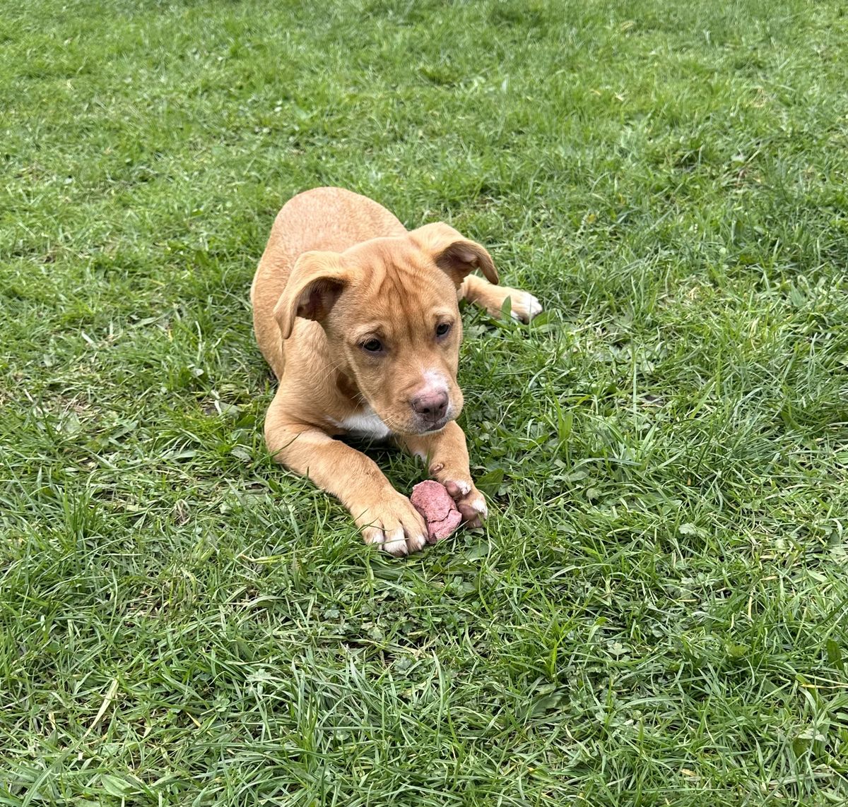 Gallery image: Jaycee