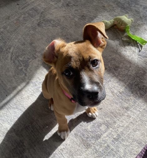 Gallery image: Truffle