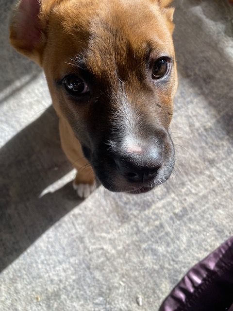 Gallery image: Truffle