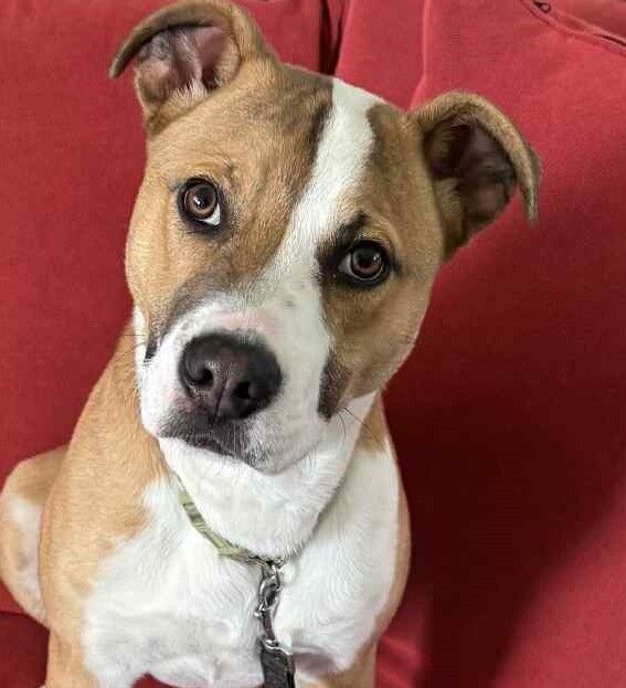 Gallery image: Sonny