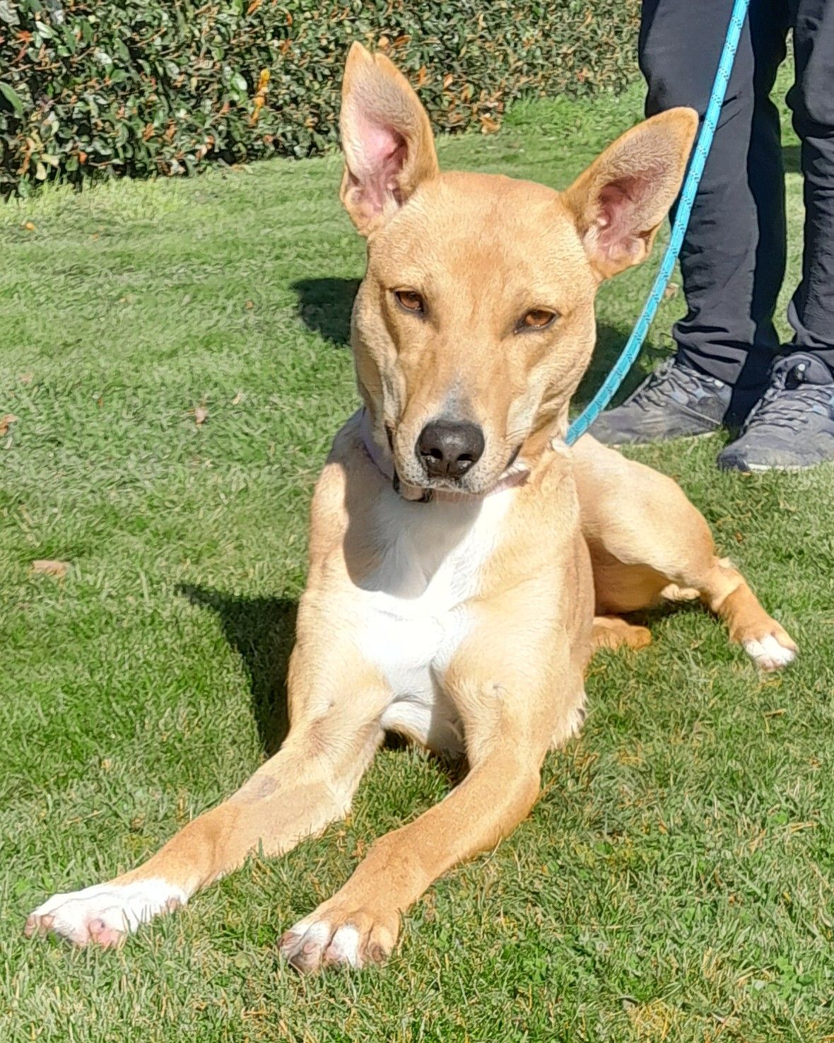 Gallery image: Maisie