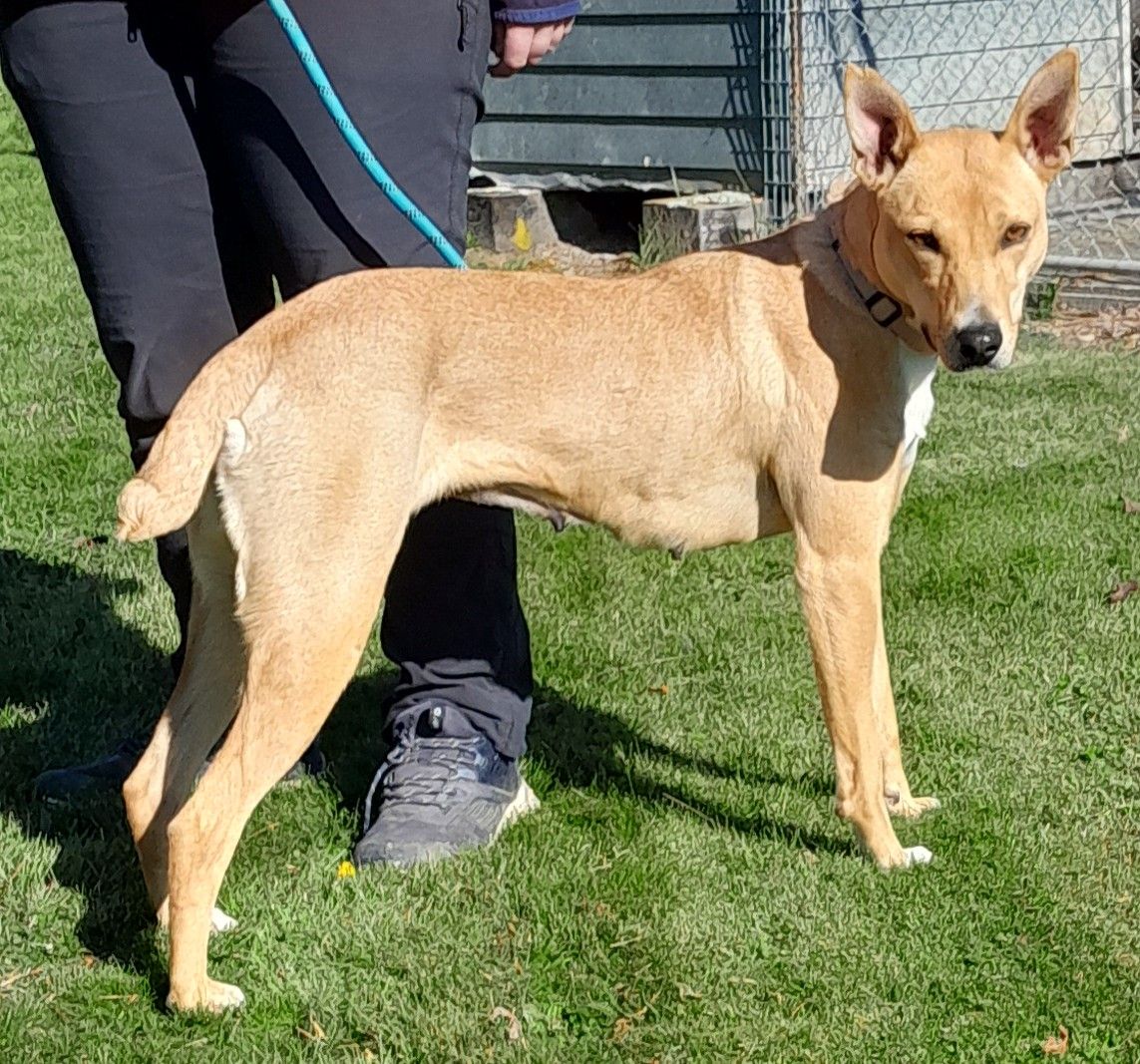 Gallery image: Maisie