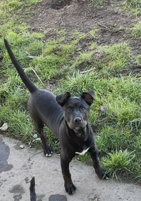 Gallery image: Junior