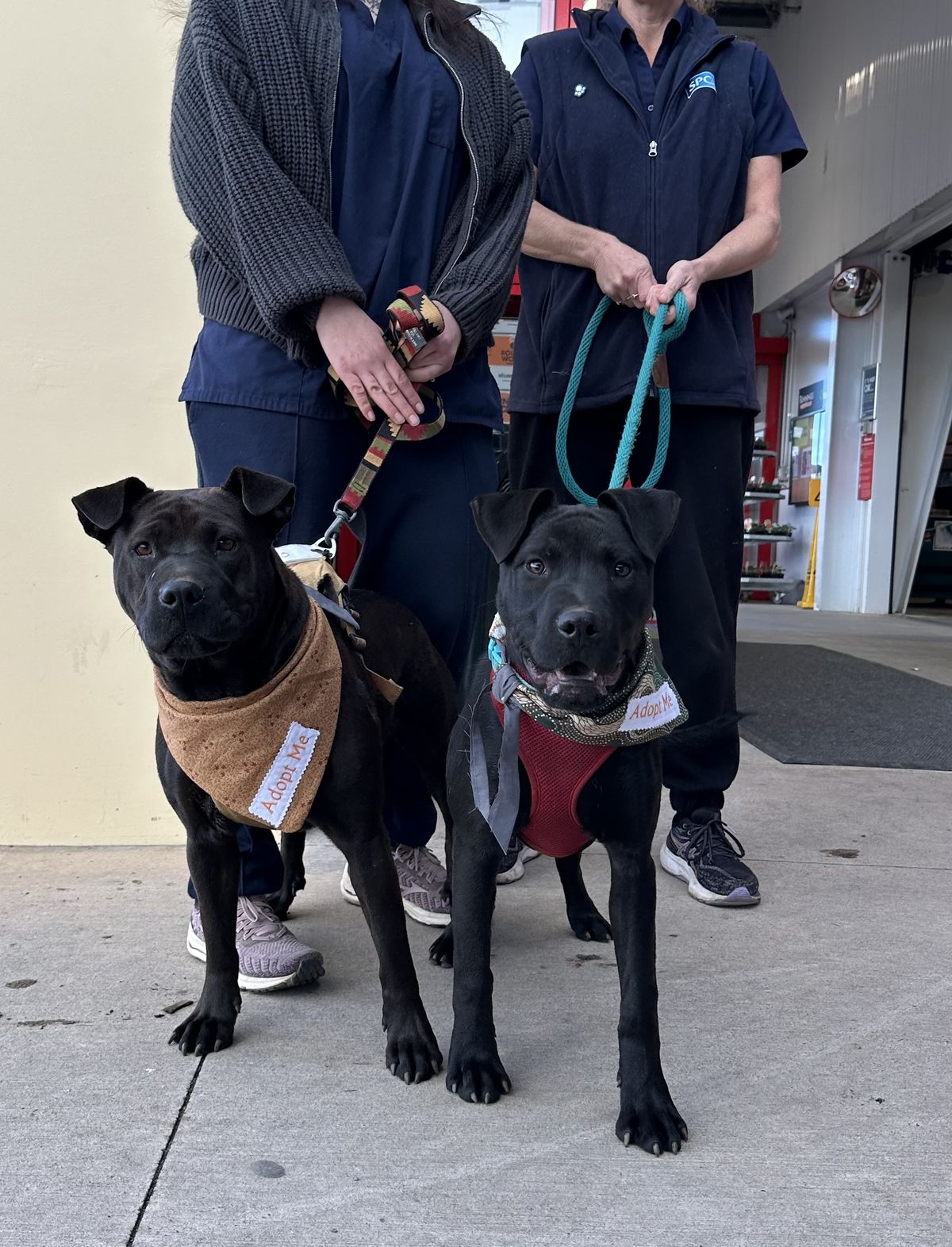 Gallery image: Carlos