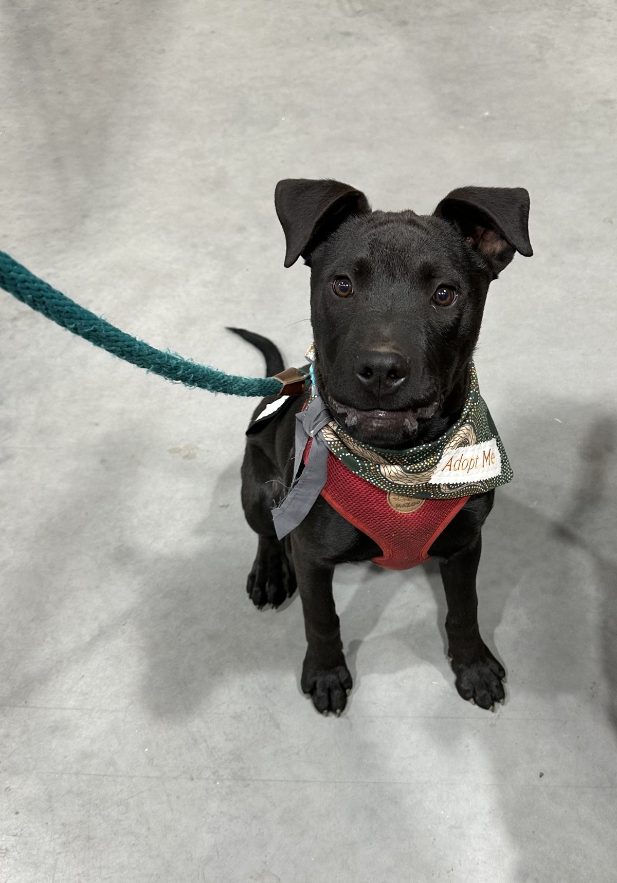 Gallery image: Carlos