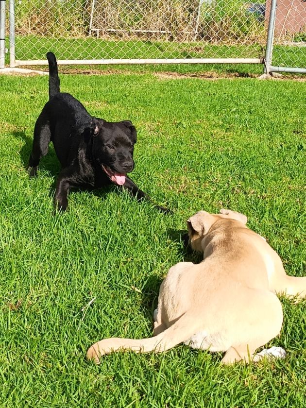 Gallery image: Carlos