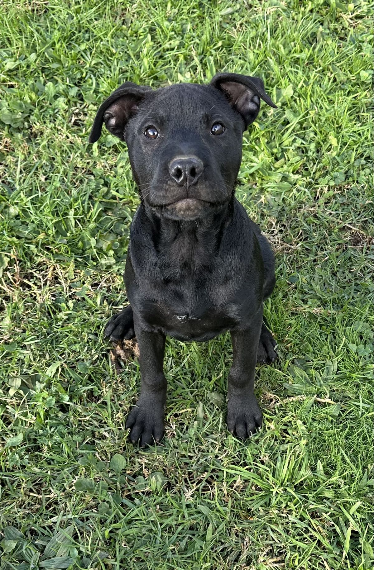 Gallery image: Carlos