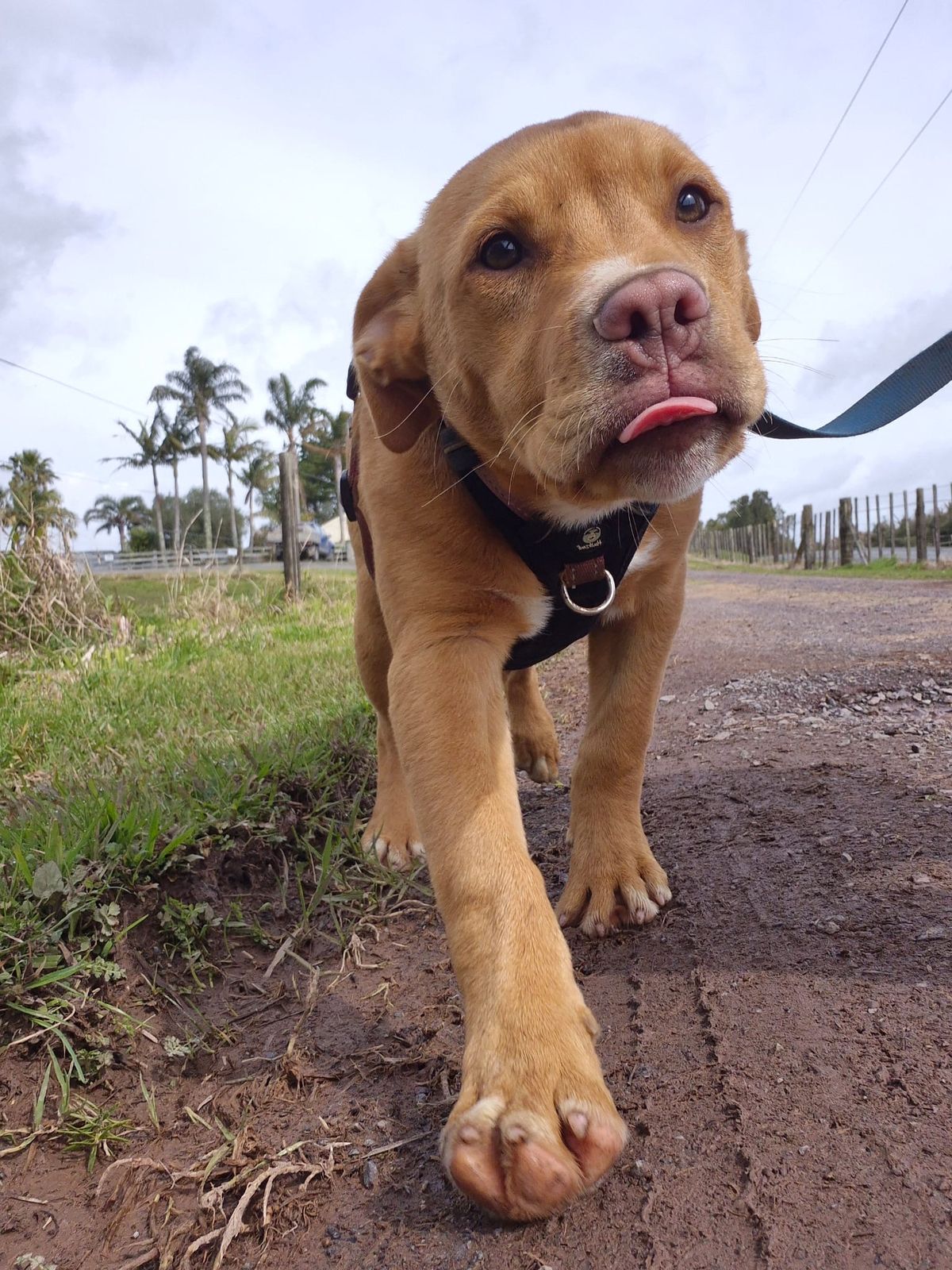 Gallery image: Jaycee