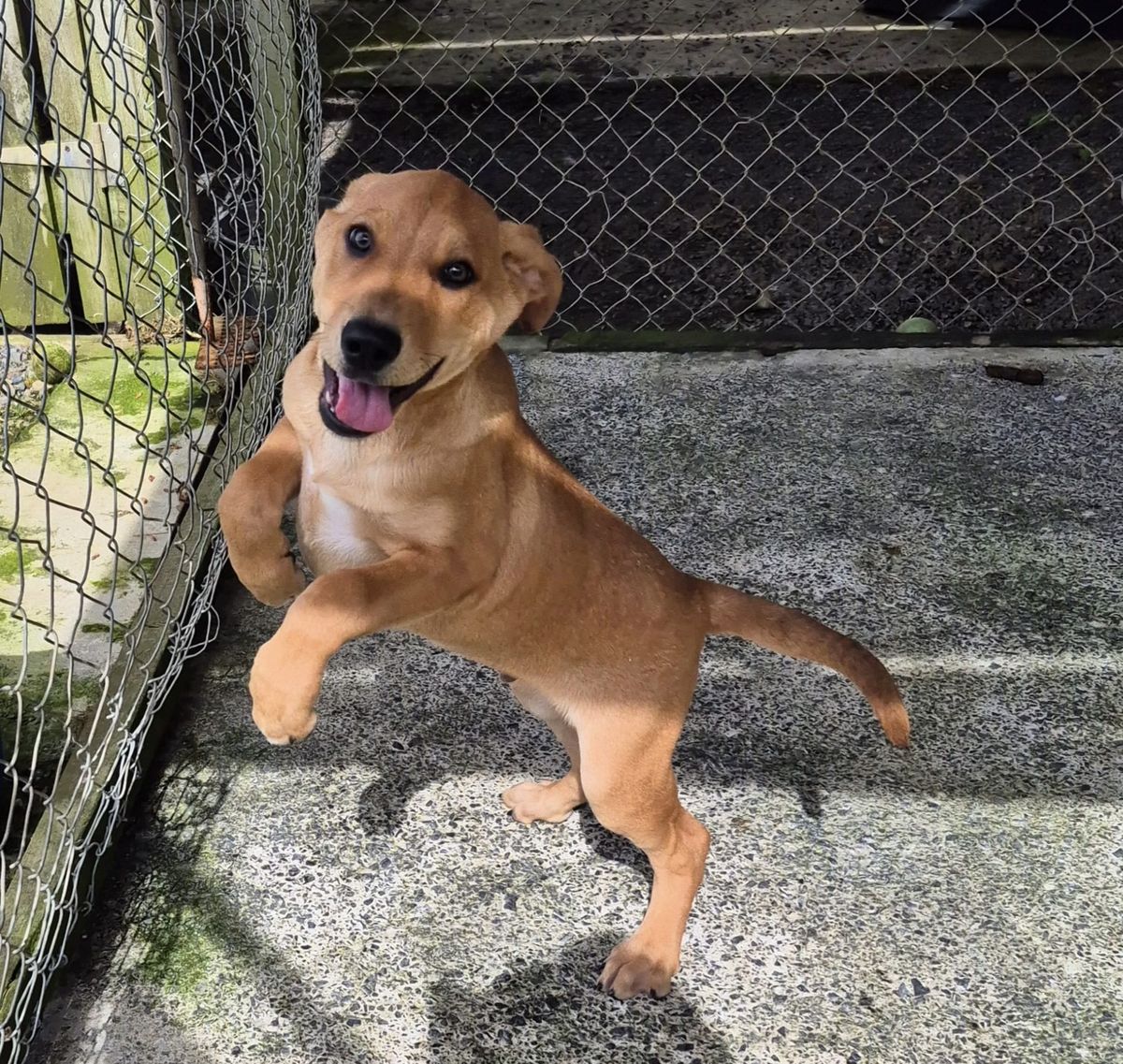 Gallery image: Pretzel