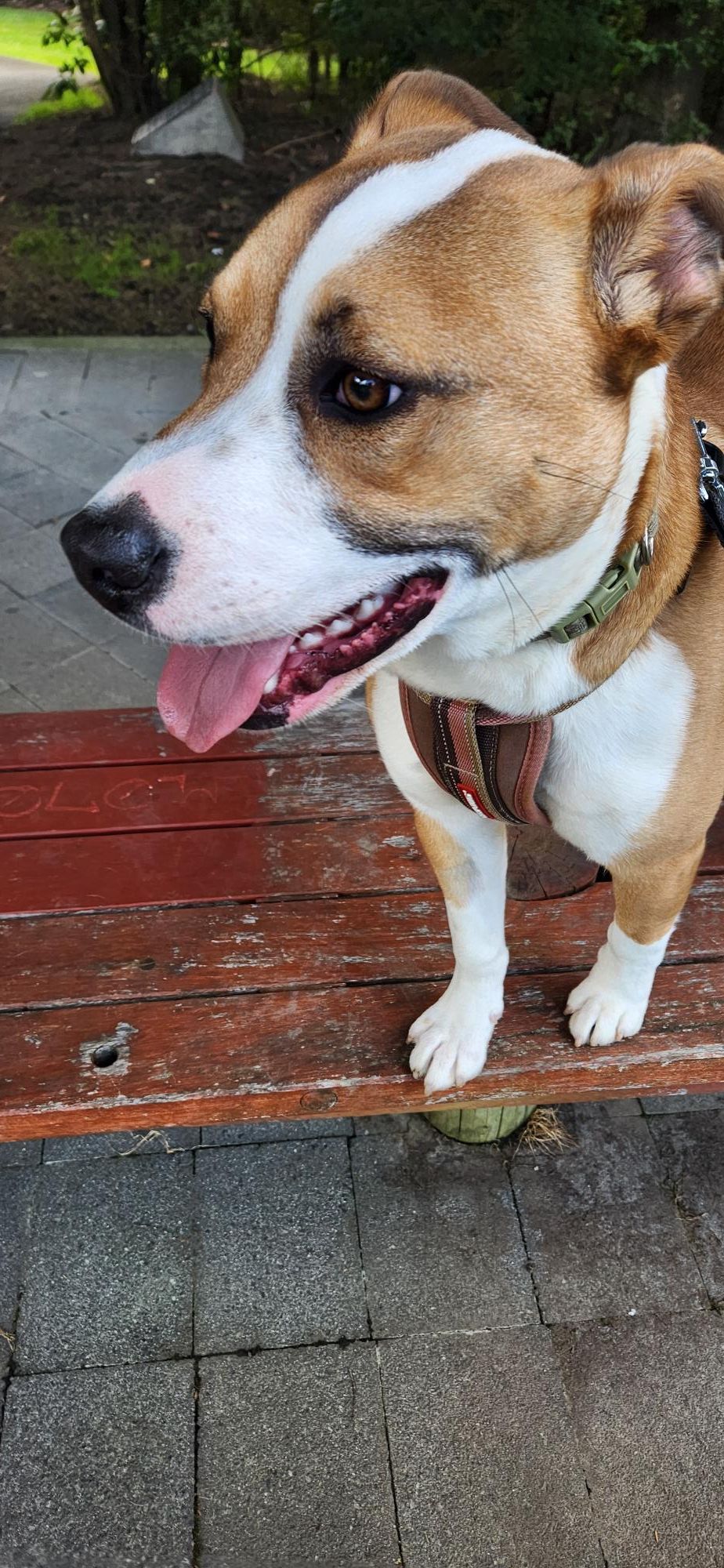 Gallery image: Sonny