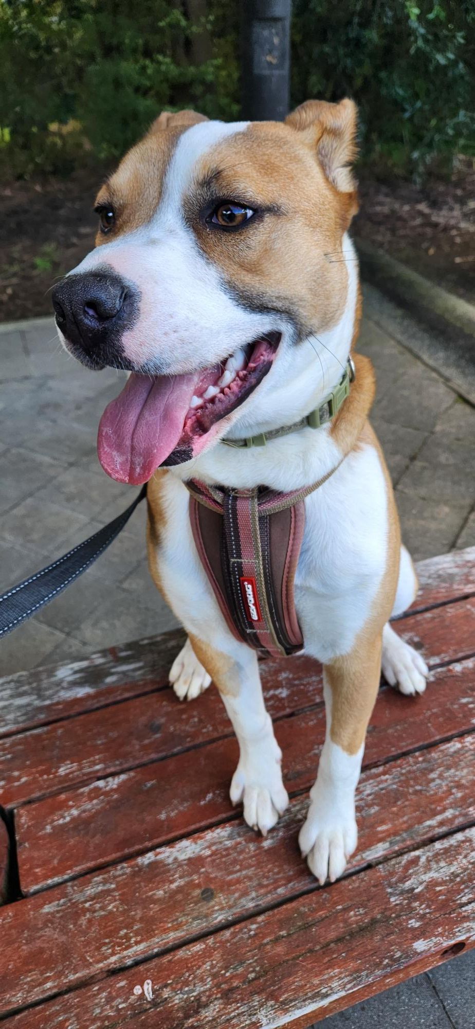 Gallery image: Sonny