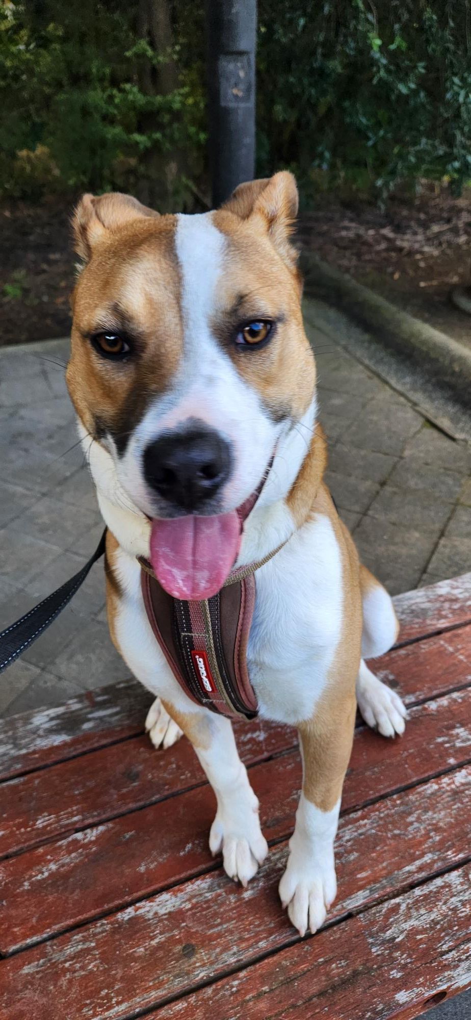 Gallery image: Sonny