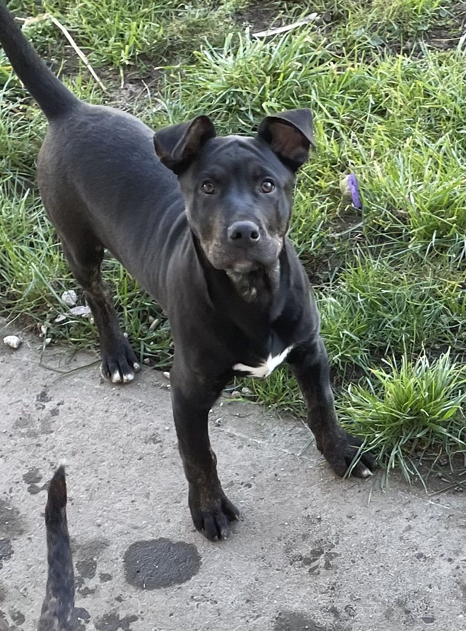 Gallery image: Junior