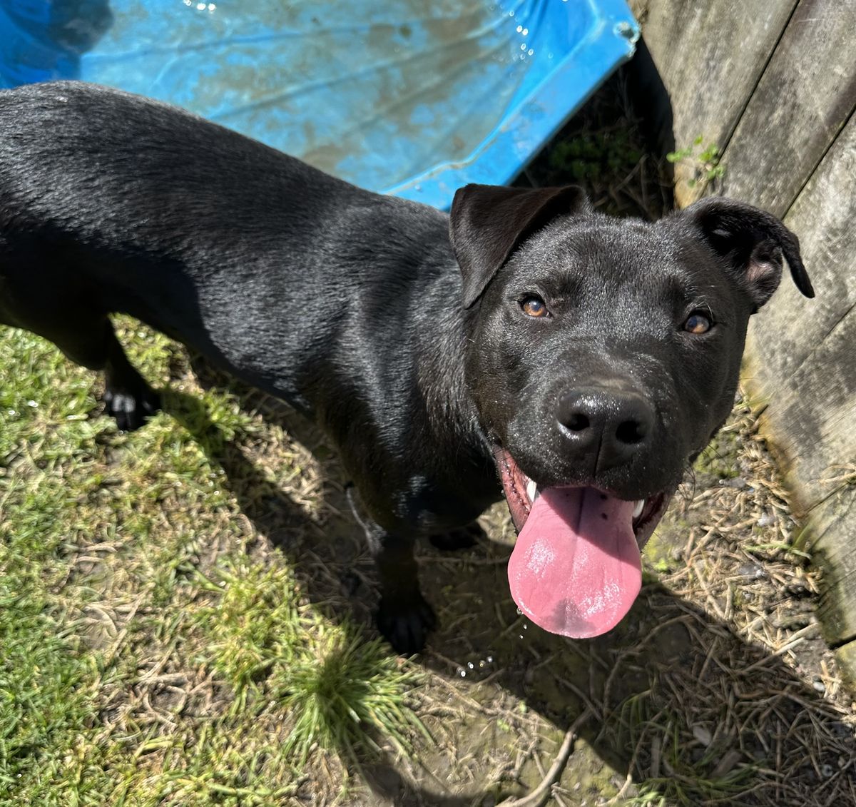 Gallery image: Carlos