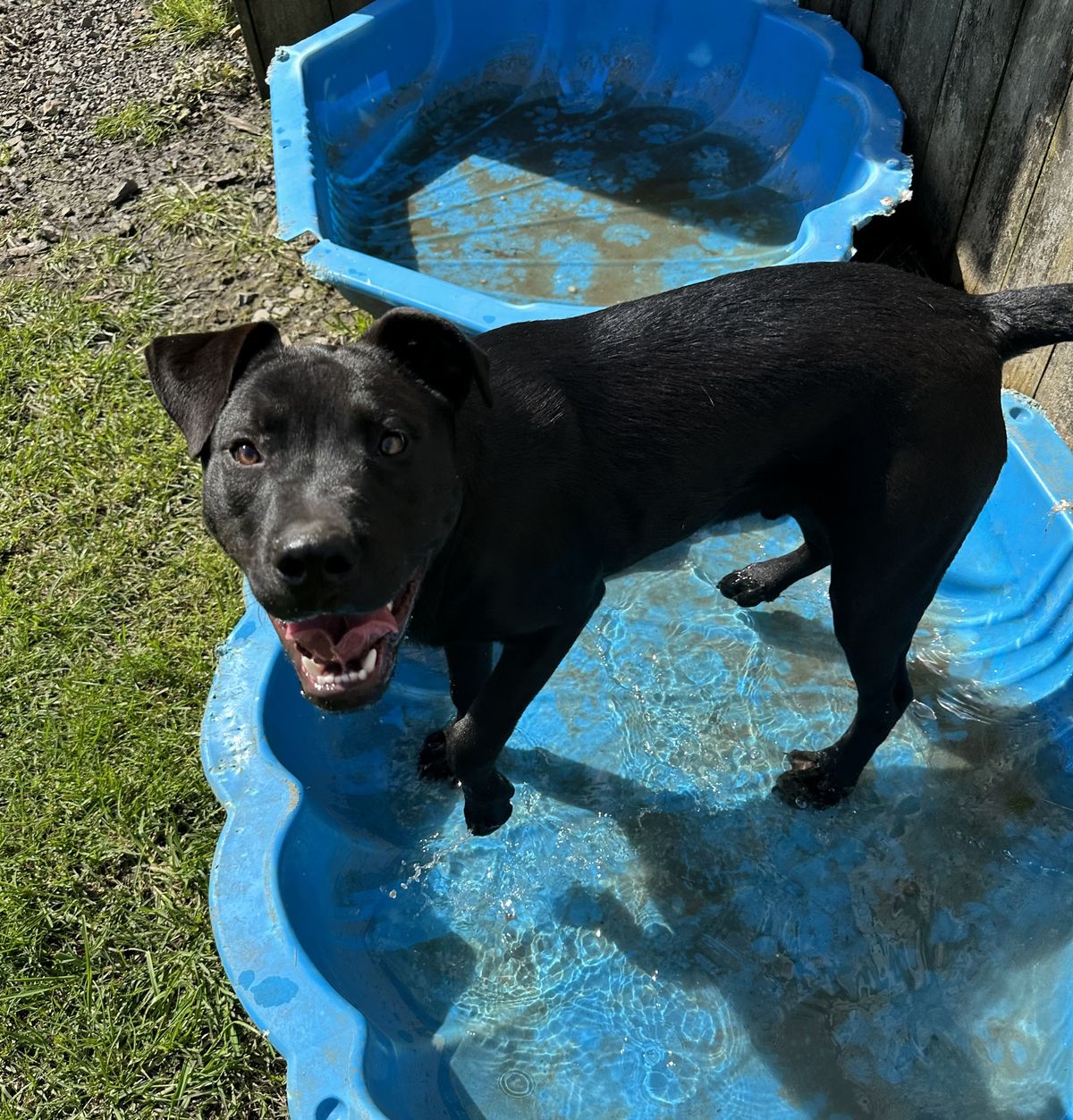 Gallery image: Carlos