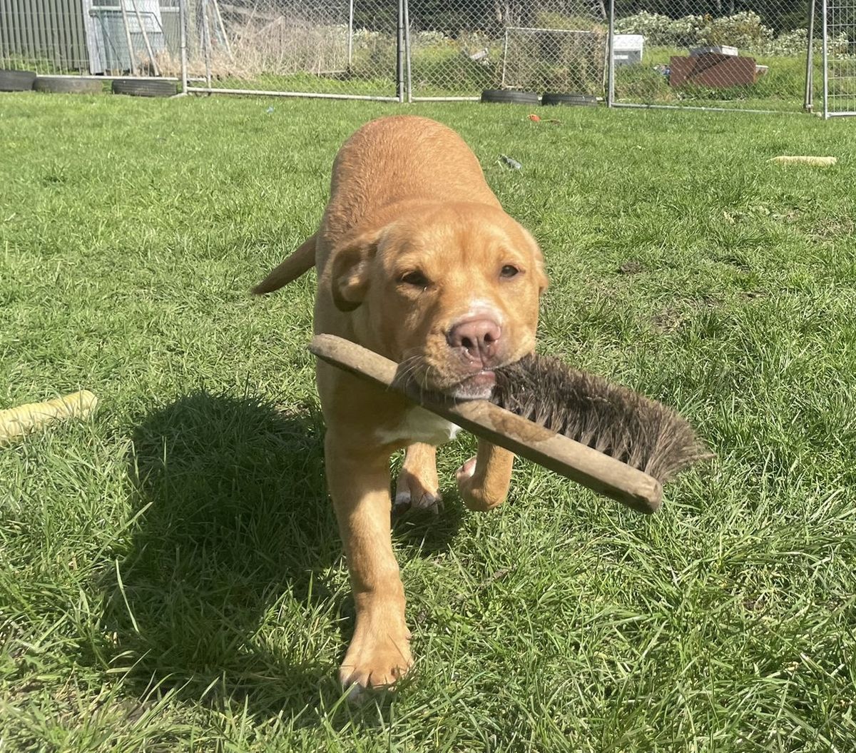 Gallery image: Jaycee