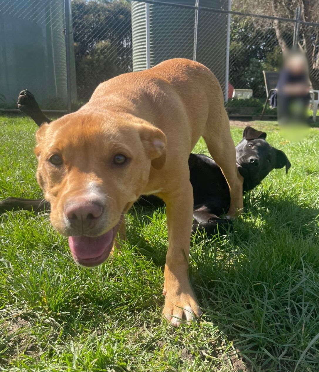 Gallery image: Jaycee