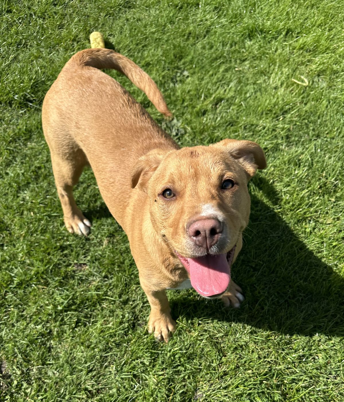 Gallery image: Jaycee