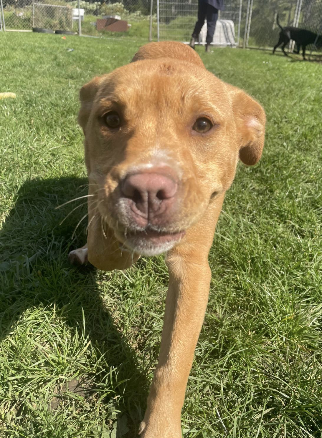 Gallery image: Jaycee