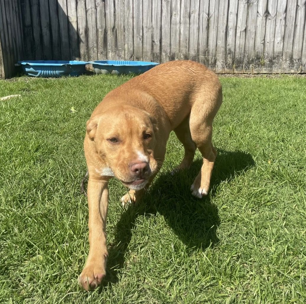 Gallery image: Jaycee