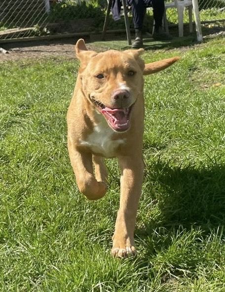 Gallery image: Jaycee