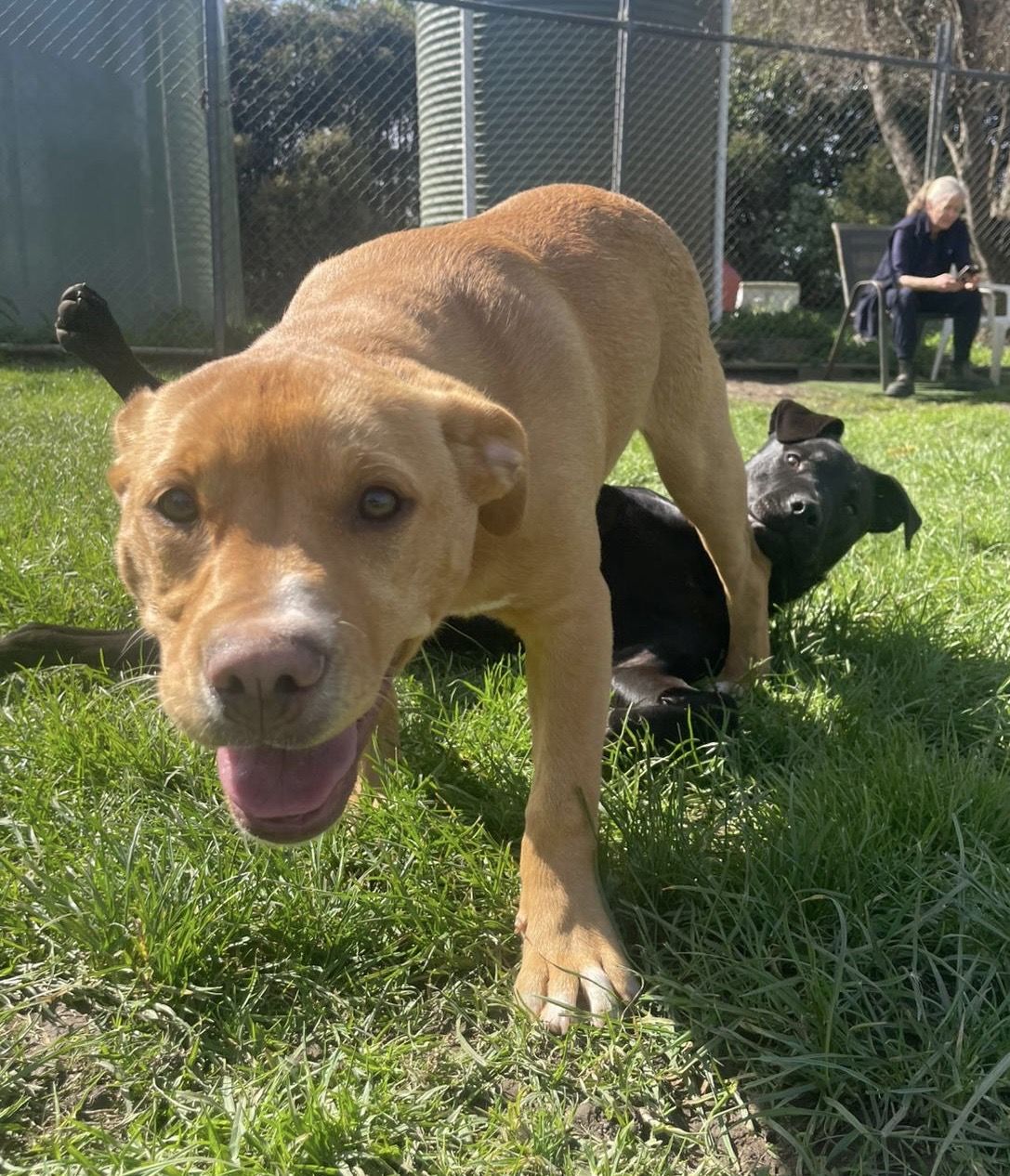 Gallery image: Jaycee