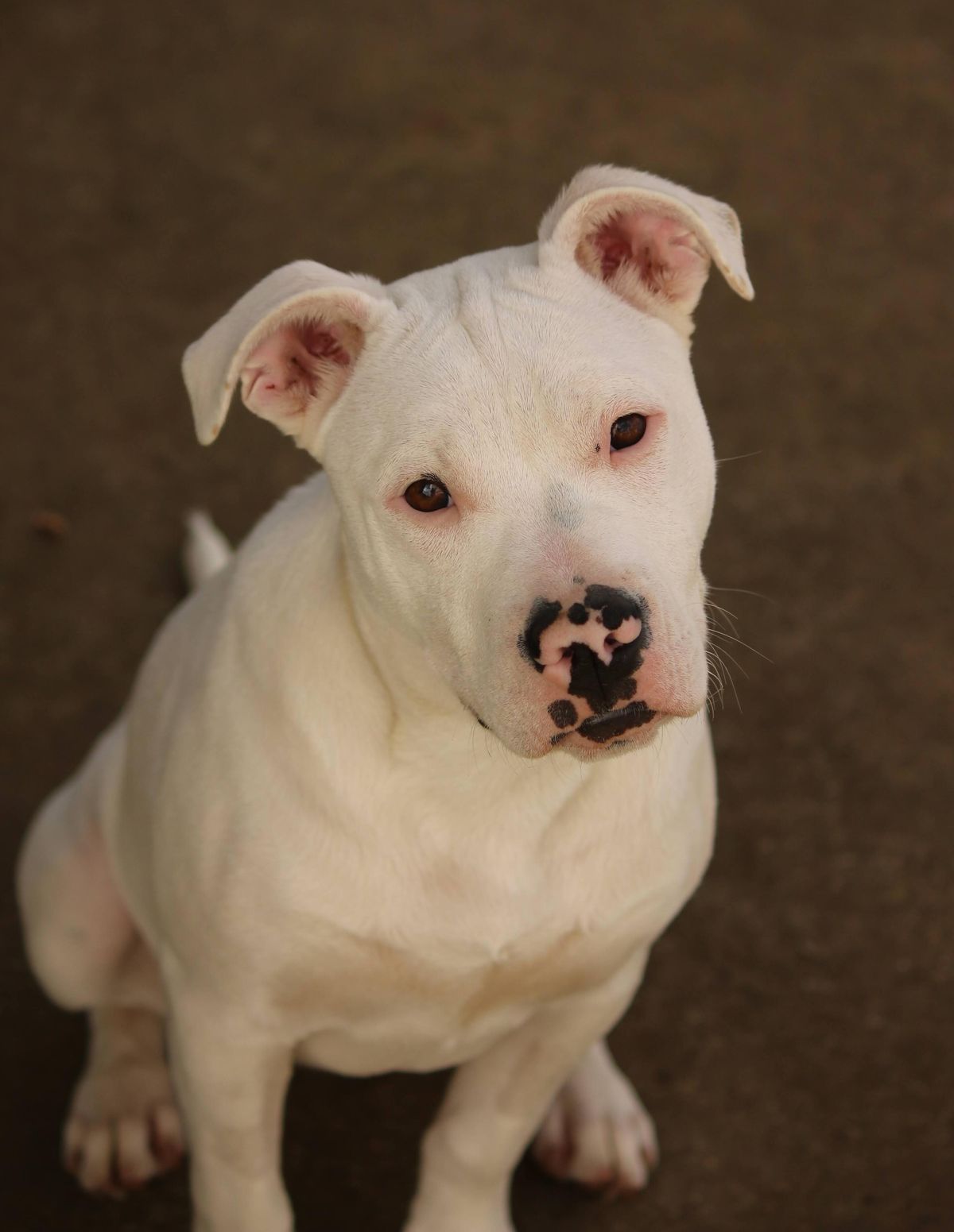 Gallery image: Maggie