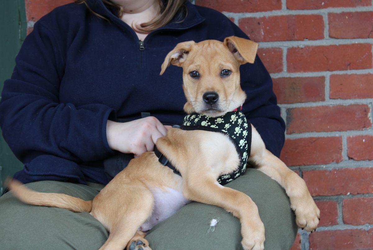 Gallery image: Eleven