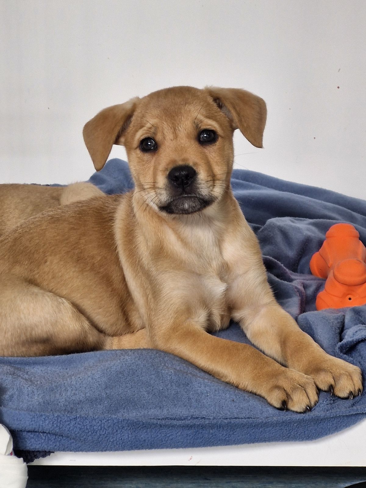 Gallery image: Eleven