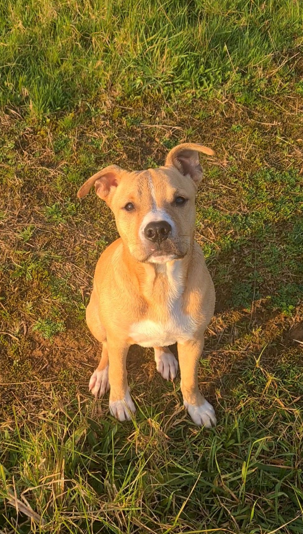 Gallery image: Harry