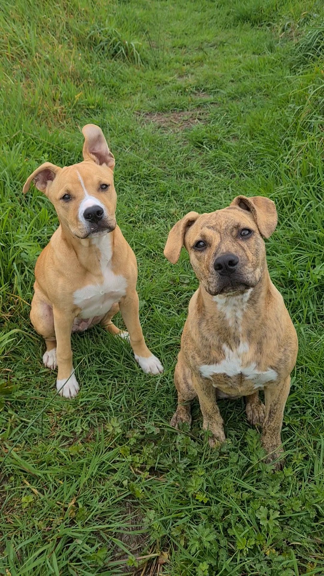 Gallery image: Harry