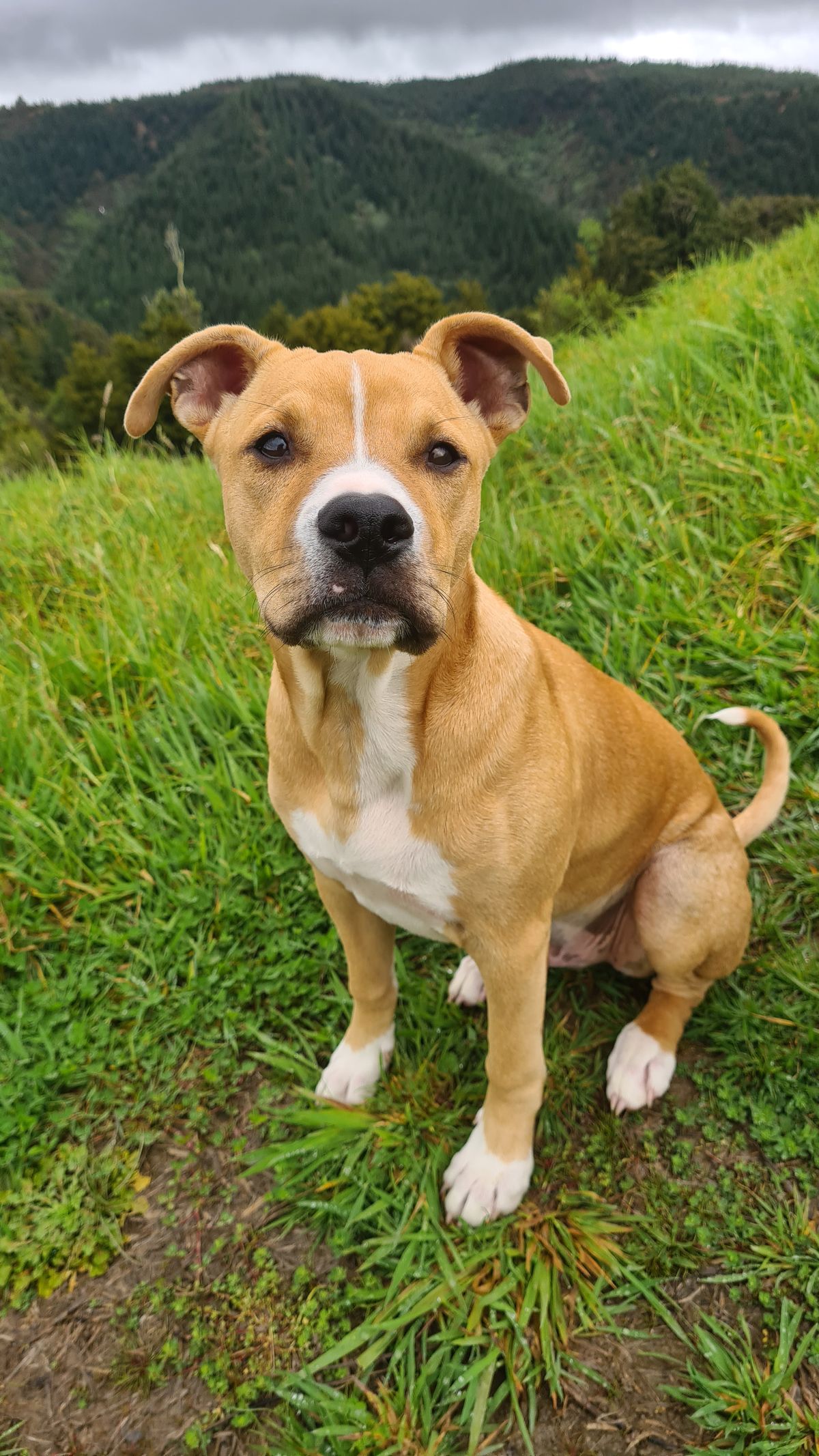 Gallery image: Harry