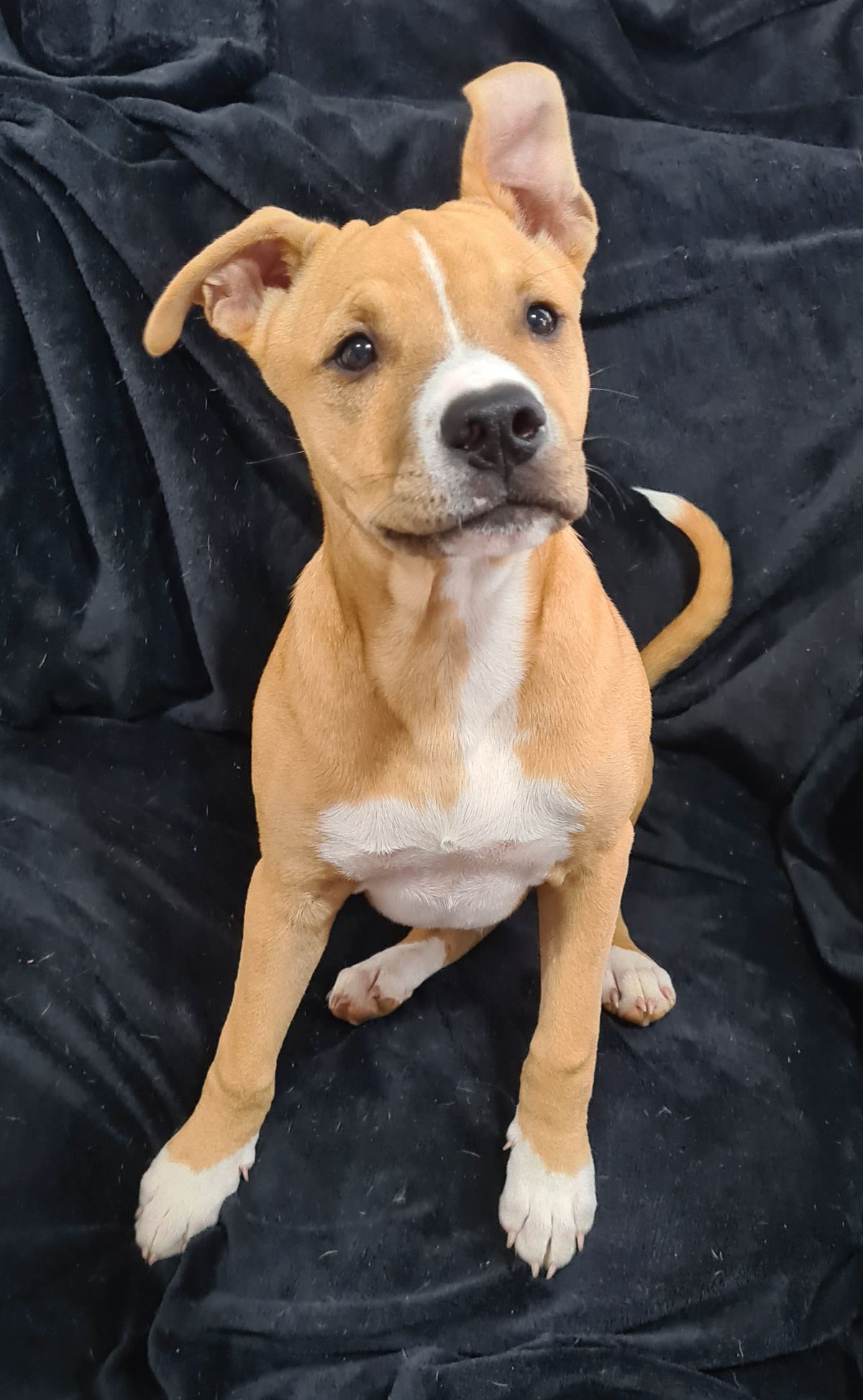 Gallery image: Harry