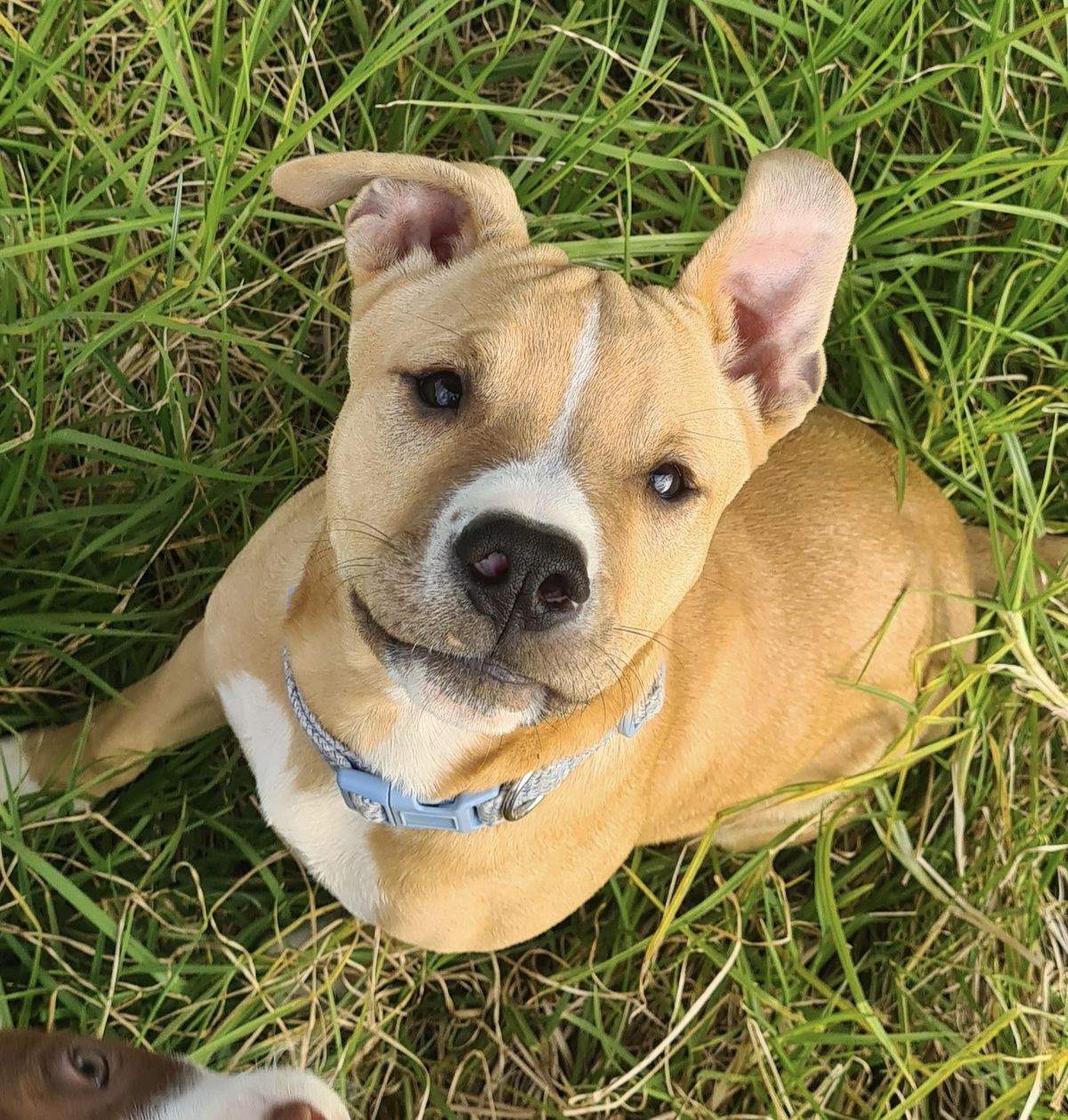 Gallery image: Harry