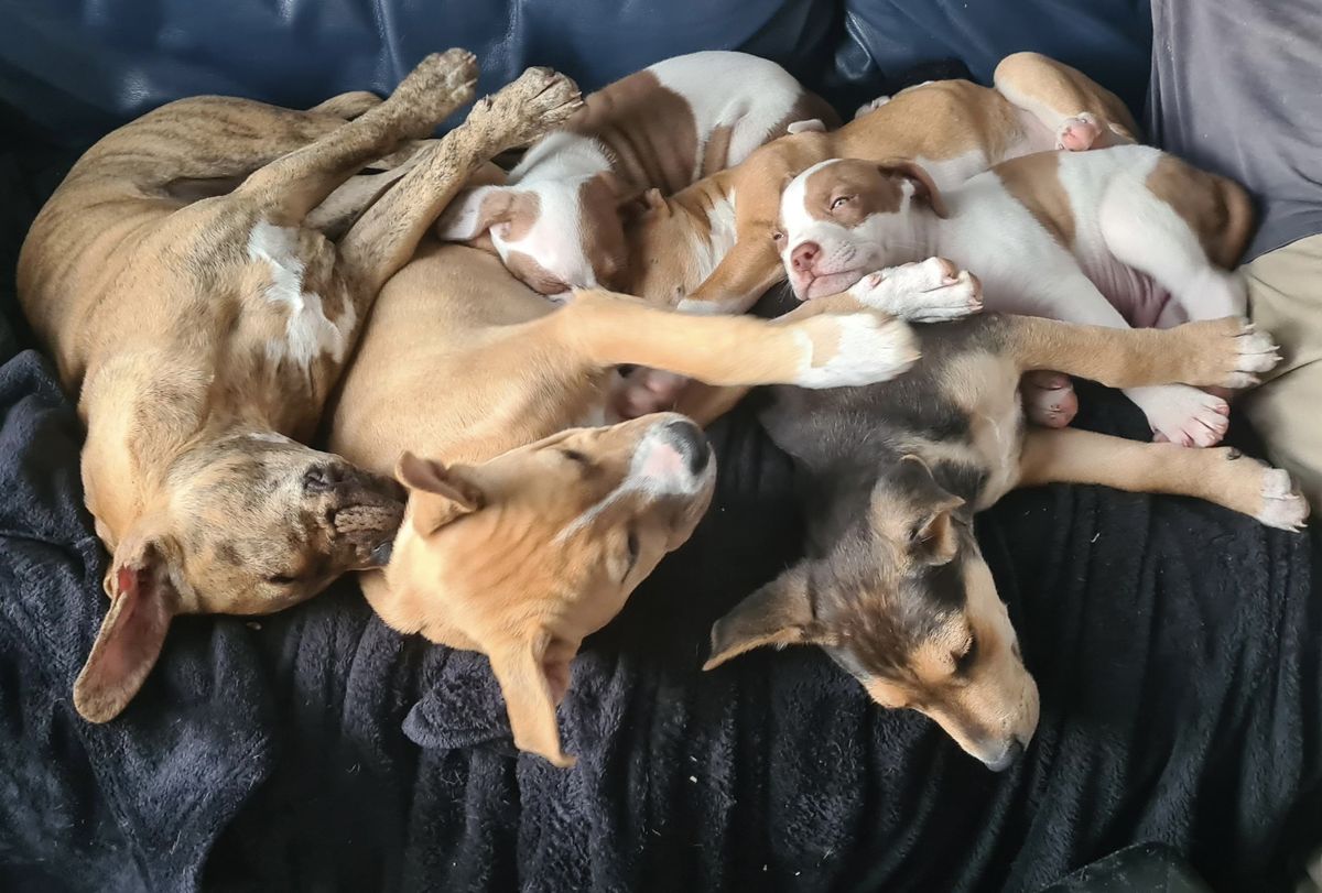 Gallery image: Harry