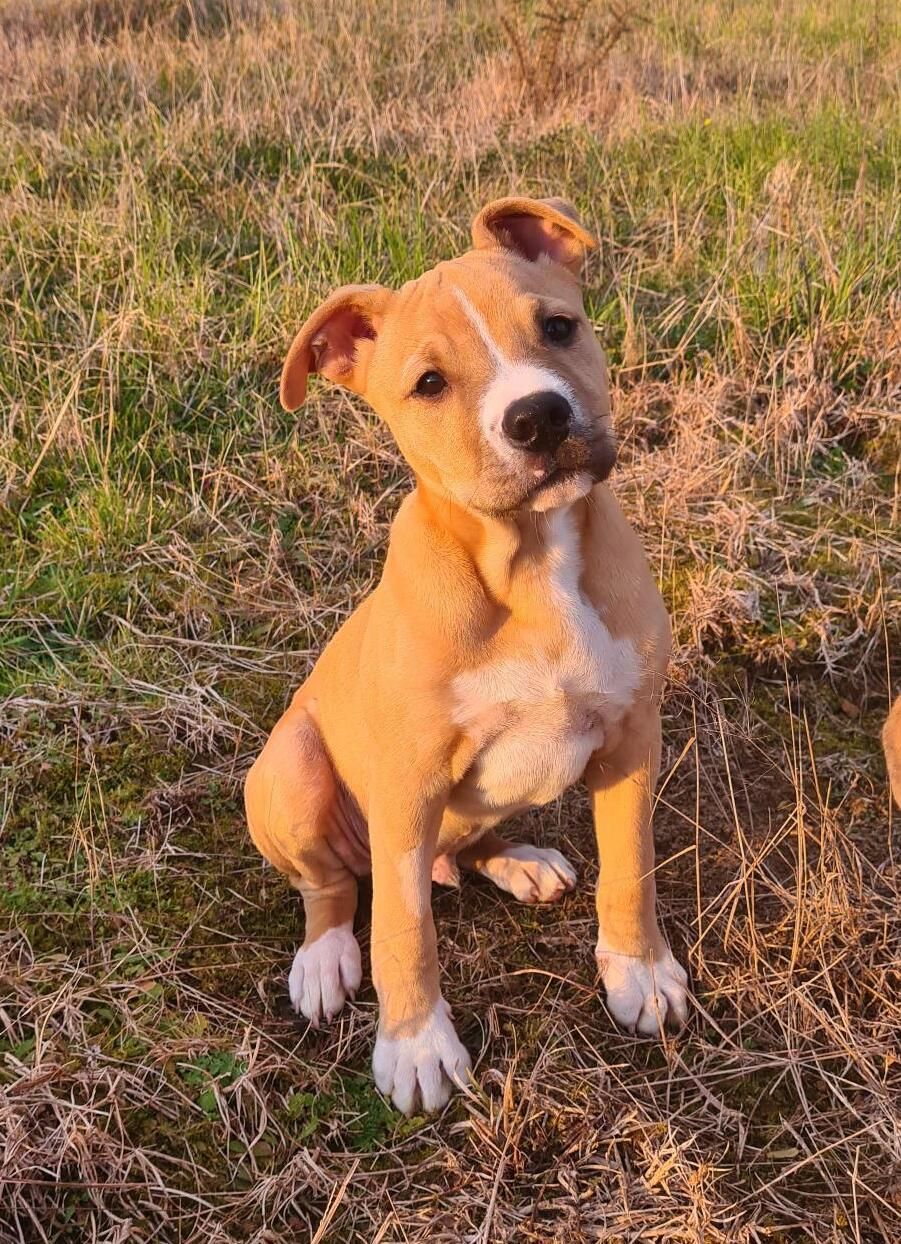 Gallery image: Harry