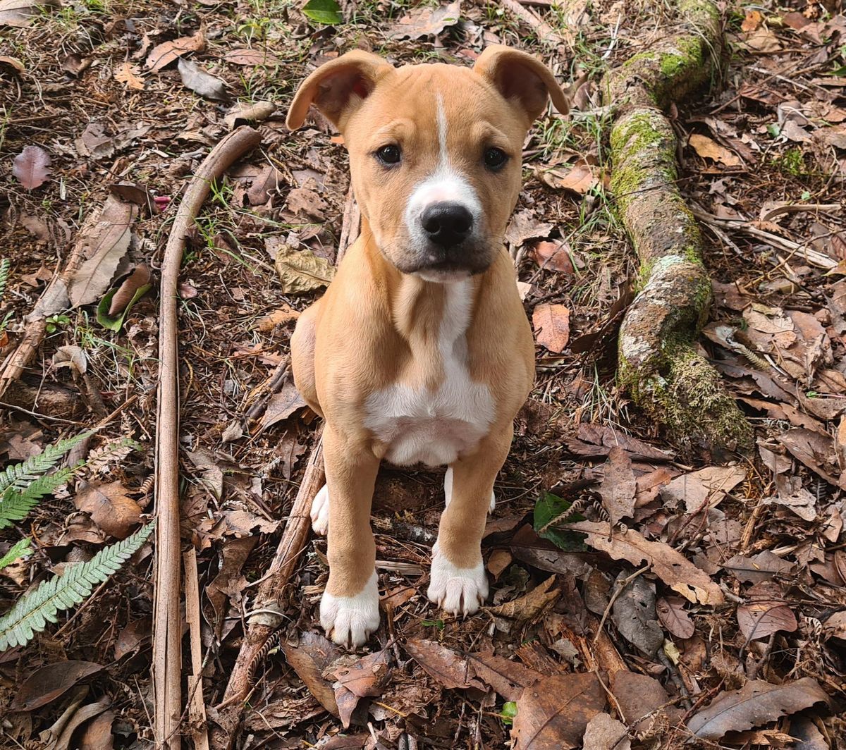 Gallery image: Harry