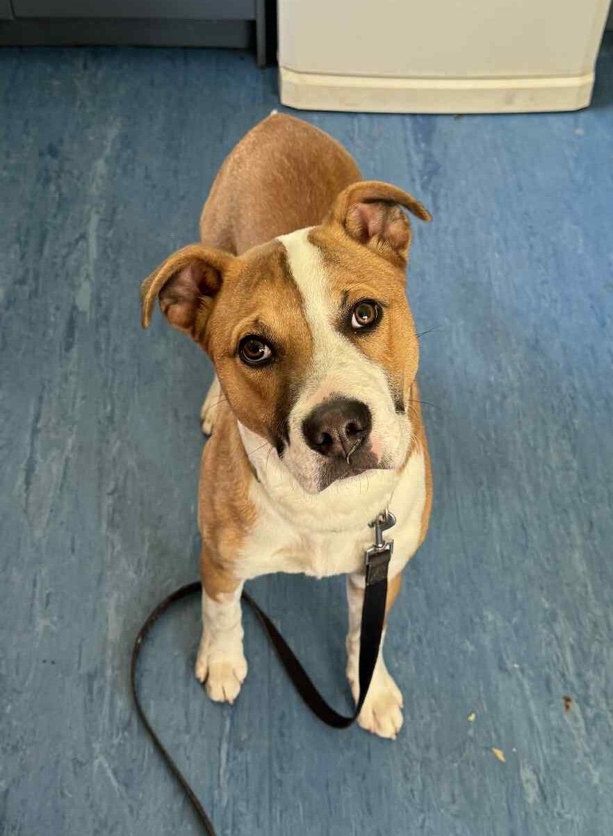 Gallery image: Sonny