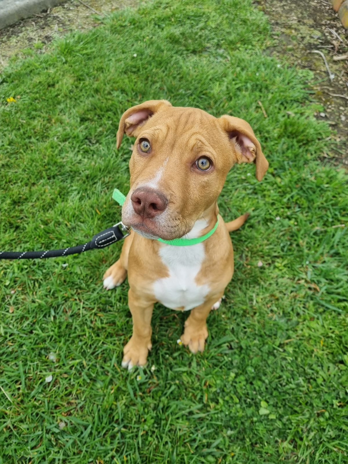 Gallery image: Wilson