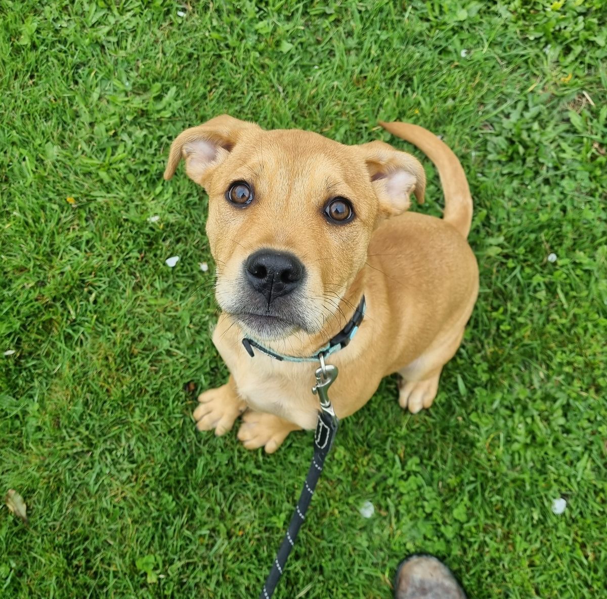 Gallery image: Eleven