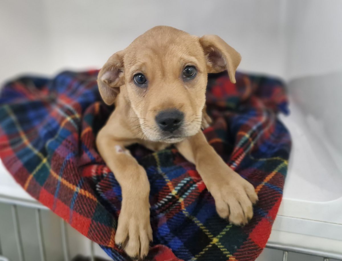 Gallery image: Eleven