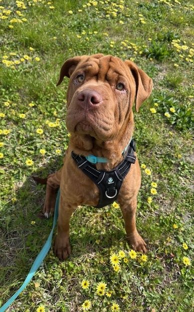 Gallery image: Tatiana