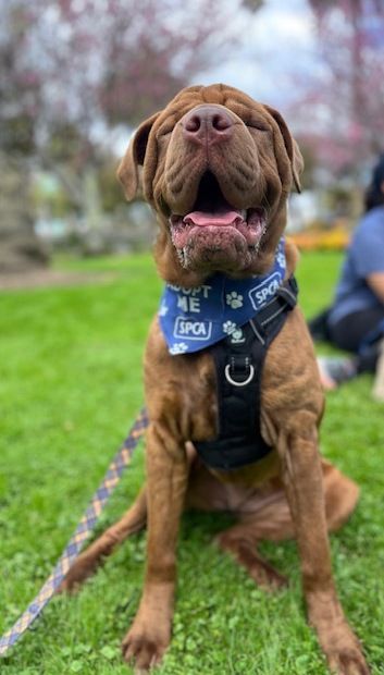 Gallery image: Tatiana