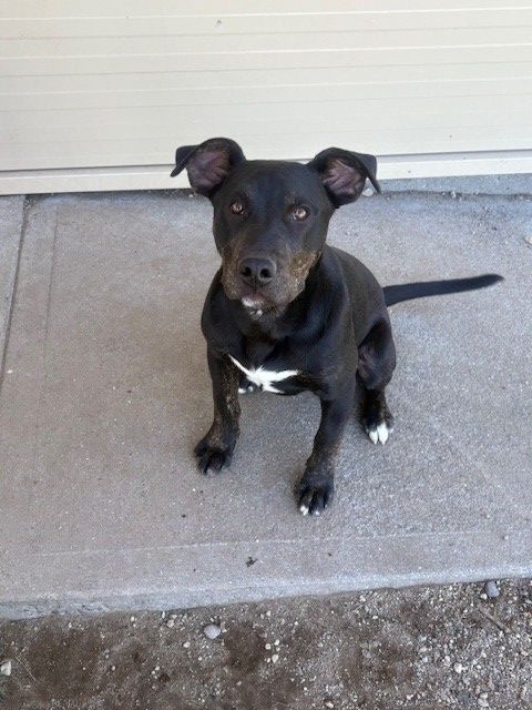 Gallery image: Junior